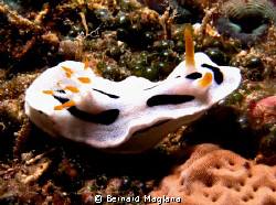 Tinoto Wall, Saranggani Province. by Bernard Maglana 